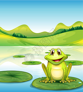池塘水面上方的青蛙图片
