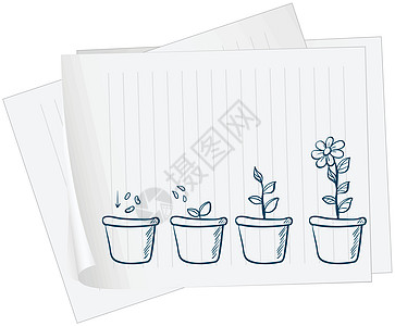 一张有植物生长图画的纸图片