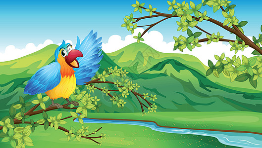 树枝上的鸟环境卡通片热带植物池塘天空鹦鹉动物树叶分支机构图片
