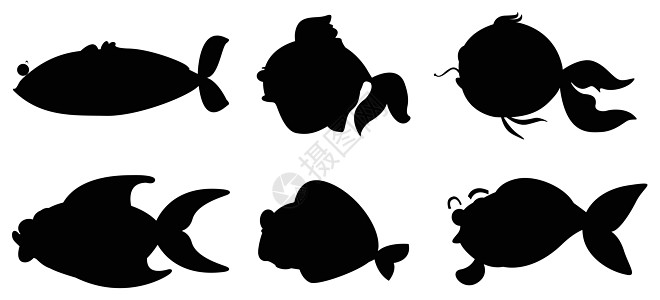 不同黑色的鱼群图片