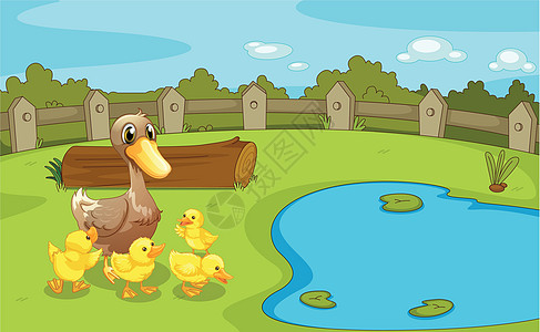 小池塘附近的鸭子图片