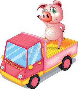卡车里的猪图片