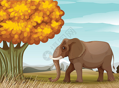 大树附近的一头棕褐大象图片