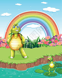 池塘的乌龟和青蛙 天上有彩虹图片
