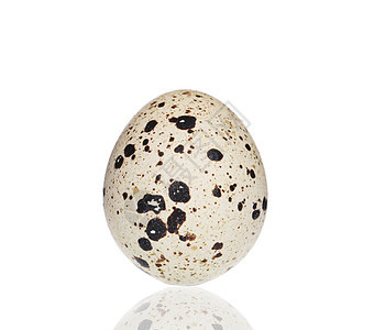 单蛋动物宏观季节椭圆形母鸡蛋壳早餐产品脆弱性蛋黄图片