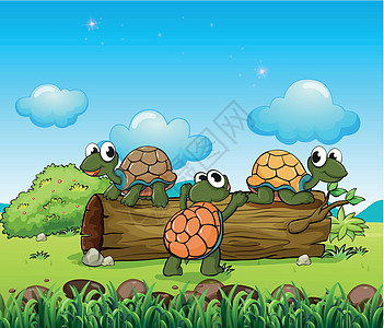 三只海龟玩日志图片
