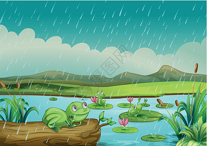 三只青蛙享受雨滴图片
