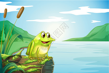 河边有一只青蛙的后备箱图片
