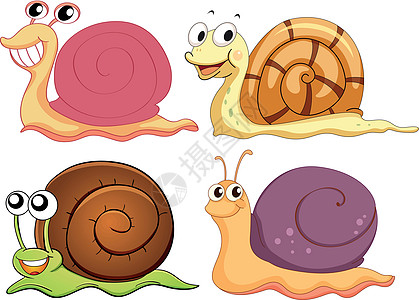 四只有不同贝壳的蜗牛图片