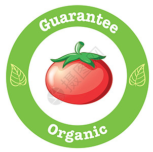 纯有机标签 红番茄农场招牌收成戒指菜单花园农业园艺广告圆圈图片