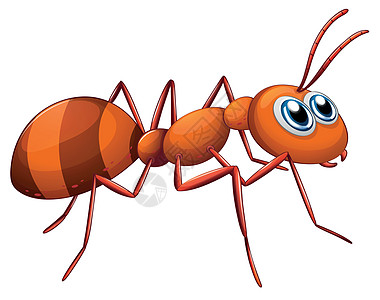 蚂蚁昆虫探者钳子白色触角代体眼睛动物害虫剪贴图片