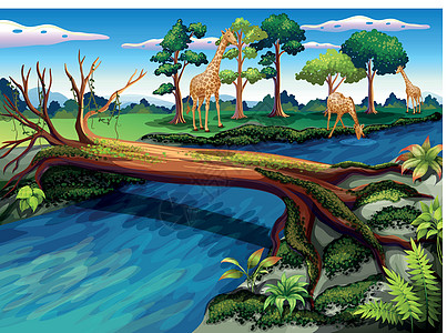 森林中流淌的河流天空动物礼物绘画藤蔓日志植物杂草水分木头图片