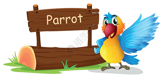 标志牌旁边的多彩鹦鹉棕色红色木板鼻孔绿色招牌木头金刚鹦鹉蓝色动物园图片