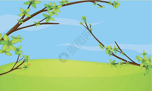 一棵树的分支保护绘画棕色分支机构蓝色场地屏幕绿色夹子程序图片