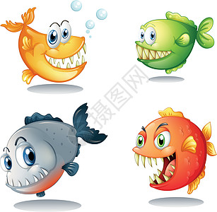 四种不同种类的长着大尖牙的鱼图片