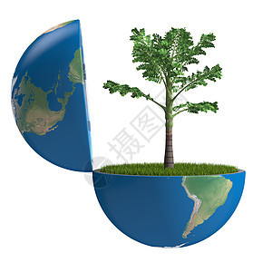 行星内棕榈树白色全球绿色生物蓝色世界生态植物地球环境图片