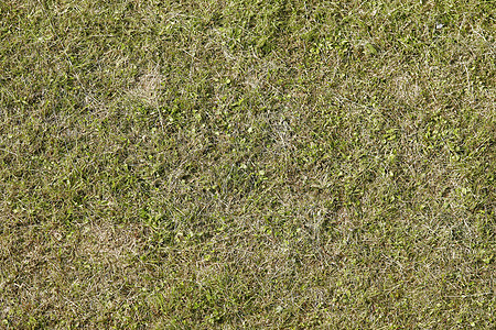 绿色草质条或高尔夫球场和足球场的背景足球草地公园草原生长游戏环境院子绿色植物草皮图片