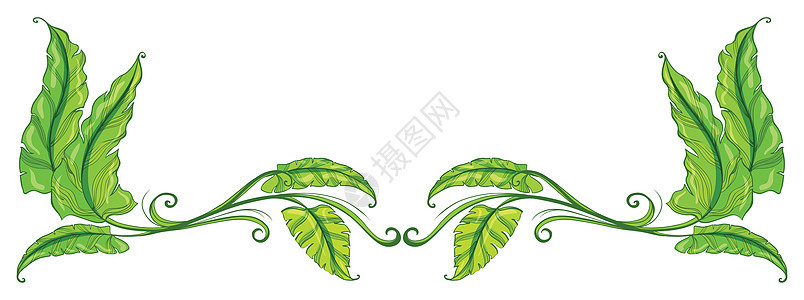 绿色绿叶边界多叶植物树叶装饰美化风格绘画叶子创造力装饰品背景图片