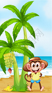 一只在沙滩上微笑的猴子 带着香蕉图片