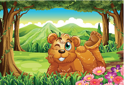 森林里的一只大熊绘画礼物藤蔓木材环境地面香味木头杂草动物图片