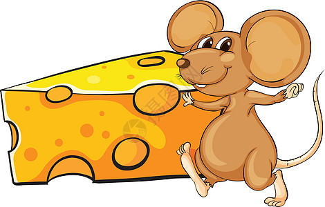 饥饿的大片奶酪旁边的一只棕色老鼠设计图片