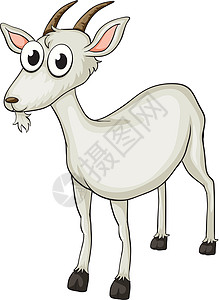 果阿哺乳动物农业脊椎动物牛角动物绘画灰色奶制品家畜动物园图片