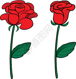 两朵红玫瑰植物风格萼片花朵绿色卡通片白色装饰品剪贴玫瑰图片