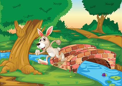 一只兔子在桥上奔过图片