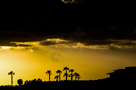 棕榈树剪影天空阴影行动热带日落数字旅行国家植物图片