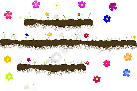 带根地面的载体 种着花的草——雪花莲 康乃馨 勿忘我 非洲菊 紫苑图片