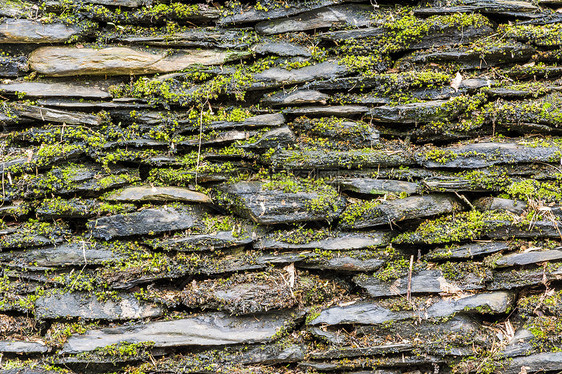 有绿苔的石墙栅栏灰色建筑学乡村岩石绿色苔藓石头植物花园图片