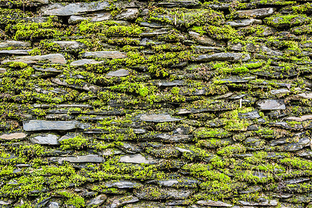 有绿苔的石墙绿色建筑学地衣岩石苔藓石头植物灰色栅栏花园图片