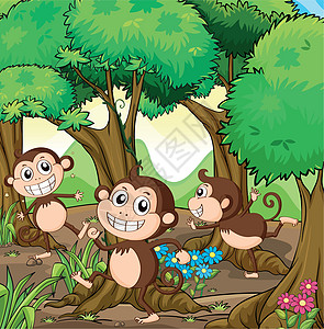 三只猴子在森林里玩耍森林花朵树木时间土地树叶树干石头地面爬坡图片