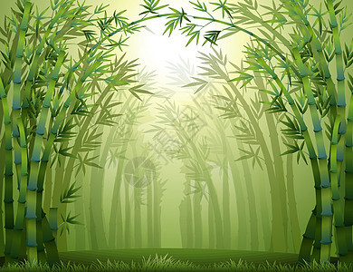 森林里的竹木树图片