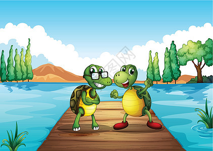 两只海龟站在潜水板上图片