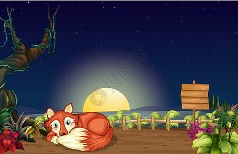 一只狐狸在木质栅栏里 用木质招牌背景图片