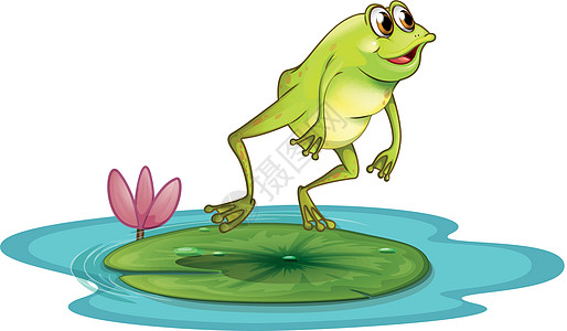 池塘里的青蛙礼物植物资源香味跳跃睡莲两栖圆圈花蜜猎物图片
