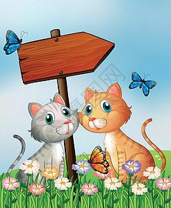 两只猫在空木箭头板前图片