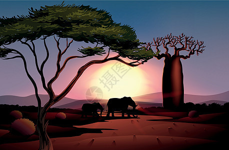 沙漠的日落与动物土地杂草风景绘画土壤树木天空卡通片分支机构地面图片