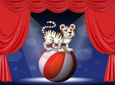 老虎在马戏团表演图片