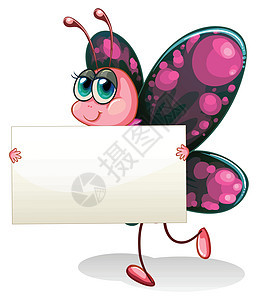 一只蝴蝶拿着空纸板背景图片