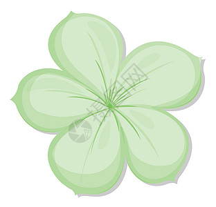 一个五毛绿色的花朵图片