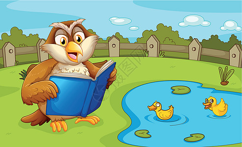 一只猫头鹰在池塘附近阅读图片