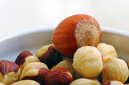 各种坚果的背景背景情况宏观食物饮食营养小吃榛子腰果团体核心种子图片