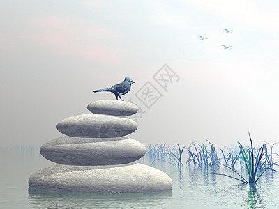 鸟的和平  3D平衡卵石天空精神治疗白色灰色冥想蓝色按摩图片
