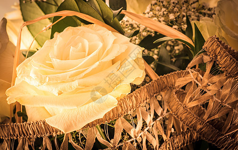 白玫瑰花植物群展示庆典花朵周年玫瑰花束花瓣宏观礼物图片