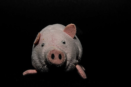 超重玩具猪身体玩具卡通片粉色宠物感情小猪生物农场白色背景图片