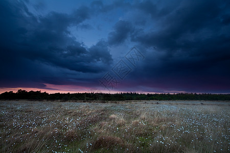 日落时在沼泽上空的暴风雨图片