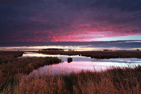 紫色日出在河上戏剧性天空乡村云景反射粉色红色农村风景蓝色图片