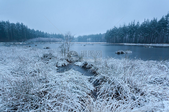 湖边的冬季清晨雪雪雪图片